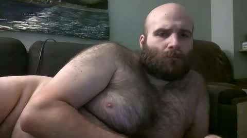 Snapshot of hairiestbear chatting on February 9, 12:08 pm Hairiest Bear online show from February 9, 12:08 pm