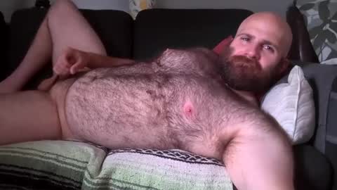Hairiest Bear online show from August 1, 8:43 pm