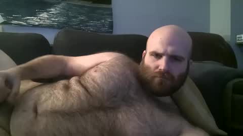 Snapshot of hairiestbear chatting on January 26, 7:10 am Hairiest Bear online show from January 26, 7:10 am