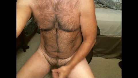 Hairy pecs online show from December 18, 7:08 pm