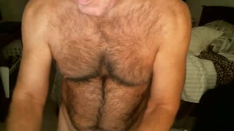 Hairy pecs online show from December 17, 7:37 am