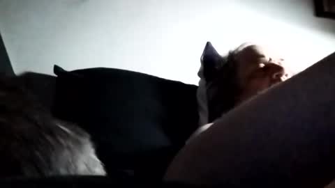 Marty online show from March 7, 3:17 am