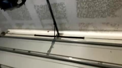 handsomehasen online show from March 22, 9:08 pm