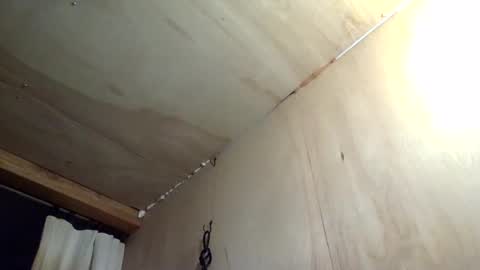 handywoody online show from February 1, 9:01 pm