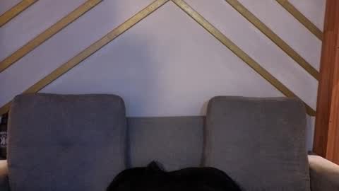 ANA online show from November 22, 12:03 pm