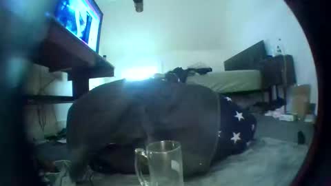 hardkoregigi online show from February 20, 5:26 pm