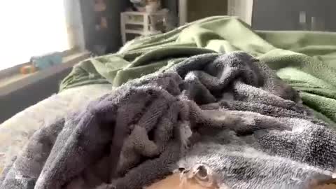 hardnthickm55 online show from February 14, 6:51 pm