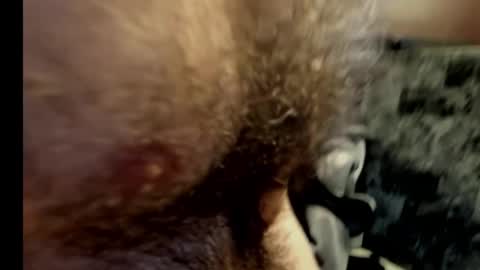 harry_banana online show from February 10, 10:40 pm