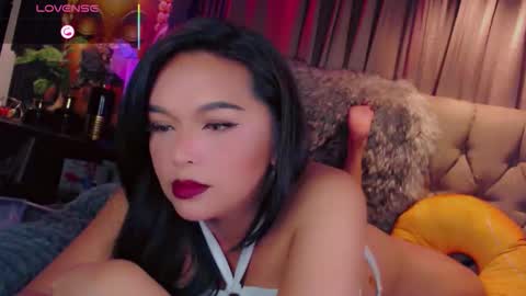 HAYFA online show from November 11, 6:26 am