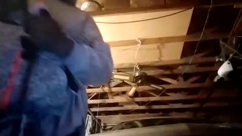 hbdj2164 online show from December 14, 11:50 am