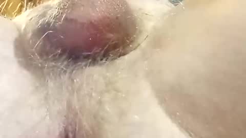 hcross2448 online show from February 22, 3:01 am