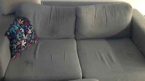 memoric online show from February 3, 11:47 am