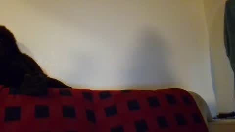 healthiest_cock online show from August 8, 2:32 am