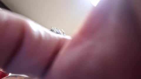 herjafe online show from September 27, 3:43 pm