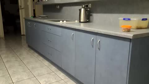 Homer online show from June 1, 10:49 am