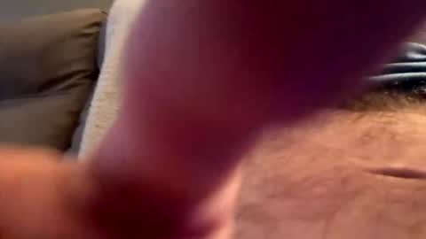 hornieecum online show from February 8, 1:14 pm