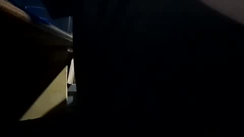 Dominick Subversal online show from October 9, 12:27 am