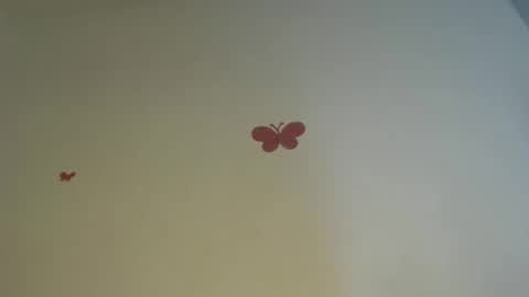 Iris online show from April 2, 8:16 pm