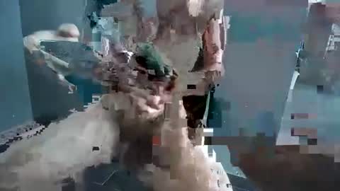 Hornyrippa online show from December 22, 1:23 am