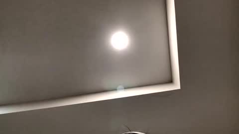 hothoneycouple online show from November 4, 2:13 am