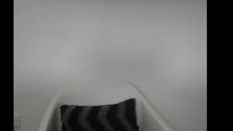 hotjessie0 online show from February 11, 5:00 am