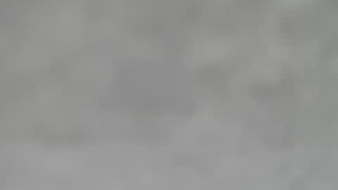 Slutty little female cat online show from January 31, 5:51 am