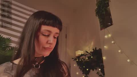 Mika online show from January 17, 7:55 pm