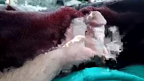 husky1511 online show from January 6, 9:35 am