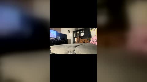 ibigboy666 online show from April 20, 12:57 am