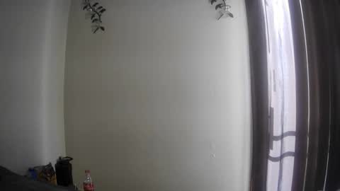 Majordadbod101 online show from October 8, 2:01 pm