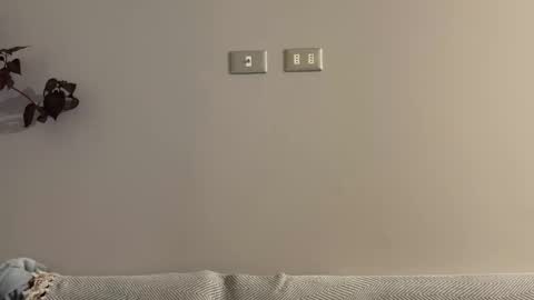 incognitolife online show from December 28, 3:04 am