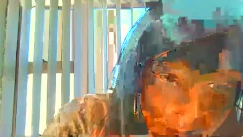 rani online show from July 6, 6:32 am