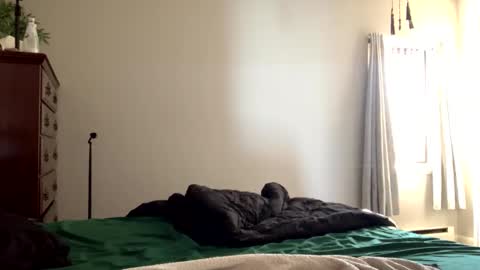 IntoTheWoodsWeGo online show from February 28, 2:10 pm