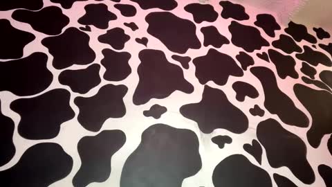  Iris  online show from February 1, 5:58 pm