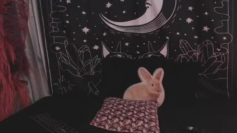 Snapshot of isabella__dark chatting on January 29, 11:14 pm    online show from January 29, 11:14 pm