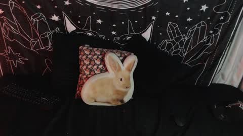 Snapshot of isabella__dark chatting on January 12, 3:39 am    online show from January 12, 3:39 am