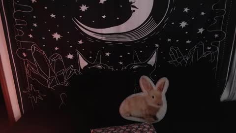 Snapshot of isabella__dark chatting on January 23, 12:14 am    online show from January 23, 12:14 am