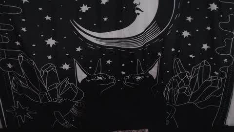 Snapshot of isabella__dark chatting on January 31, 11:24 pm    online show from January 31, 11:24 pm