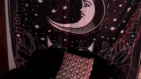 Snapshot of isabella__dark chatting on January 7, 1:17 am    online show from January 7, 1:17 am