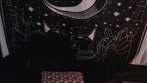 Snapshot of isabella__dark chatting on January 8, 1:42 am    online show from January 8, 1:42 am