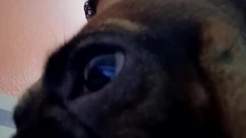 Isabella online show from February 19, 8:24 am