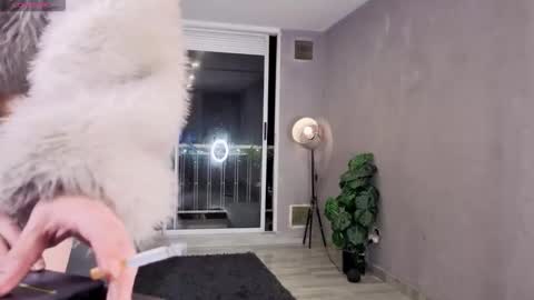 Julyane online show from February 17, 12:53 am