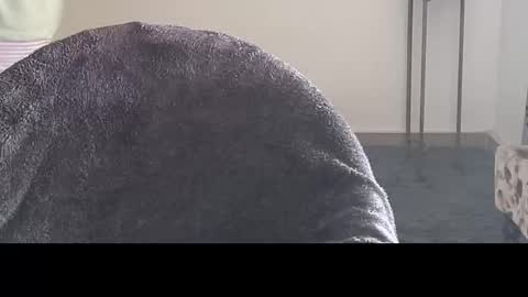 Raje online show from December 3, 7:20 am