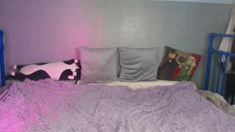 Sasha online show from November 28, 10:00 am