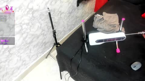 Ivis  online show from November 13, 12:08 pm