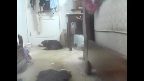 jaburgett1979 online show from October 10, 3:12 am