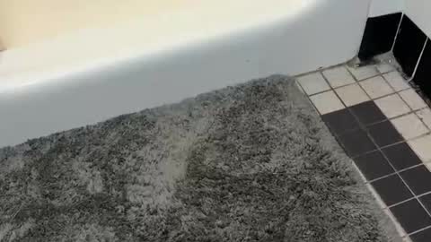 jackboy8868 online show from March 26, 1:33 am