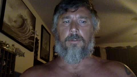 jackhammerhead online show from July 12, 2:04 am