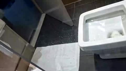 jamesdick4fun online show from March 11, 8:17 am