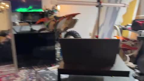 jamisondango online show from December 29, 7:00 pm